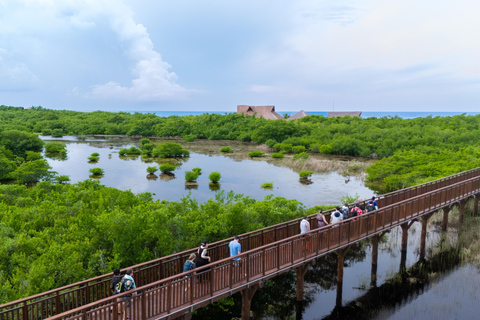 From Cancun: Cozumel Kuza Park & El Cielo Snorkel Tour