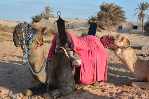 Quad and Dromedary Adventure: Half-day of Escape and Sensations