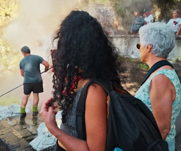 Furnas: Volcano Crater, Lake, Tea Plantation, and Waterfall