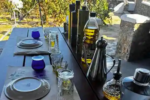 Mykonos : Dégustation d'huile d'olive