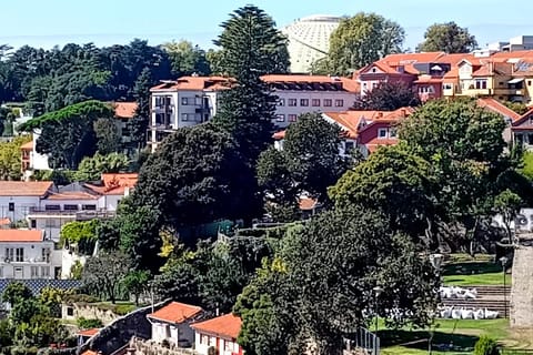 Porto: Walking Tour with Locals + Portuguese Cooking Class with Meal