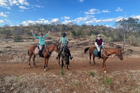 Victoria Falls: African Village Community Tour on Horseback