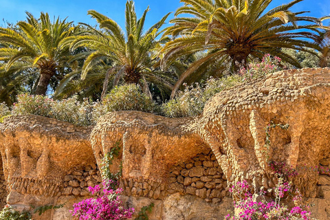 Barcelona: Park Güell Guided Tour with Skip the Line Ticket Spanish Tour