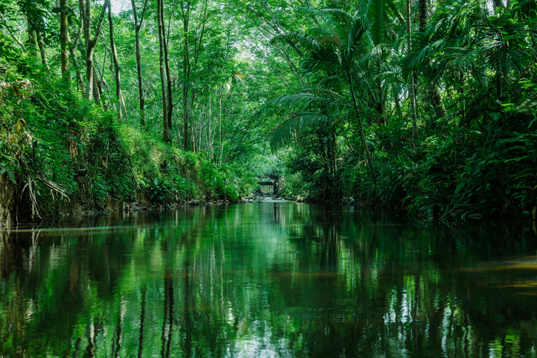 Goyave: Jungle & River Horseback Riding Adventure
