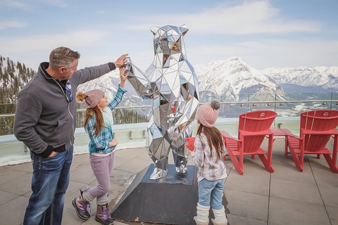 Banff: Bilhete de entrada para a gôndola de BanffBanff: ingresso para a gôndola de Banff