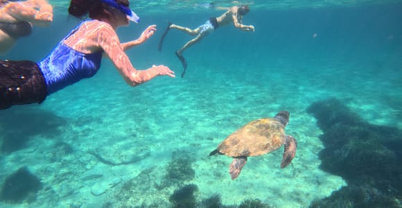 Paphos Turtle watching Snorkeling Tour with Guide+gopro vids