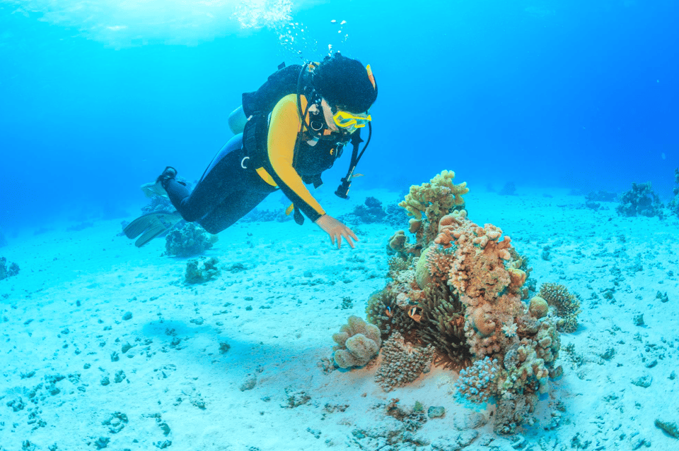 Side Underwater Museum Scuba Diving Expedition GetYourGuide