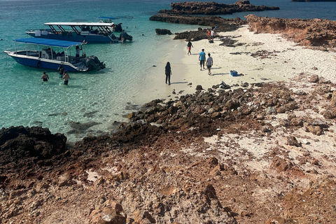 Private Snorkeling Tour - Ad Dimaniyat Islands