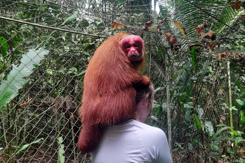 4 Amazonian rivers, and full day tours