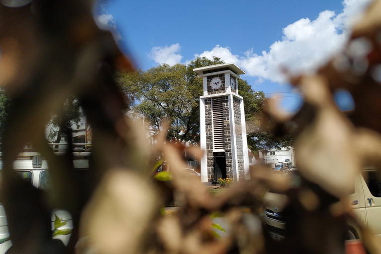 Arusha: City Tour with Lunch, Clock Tower & Museum