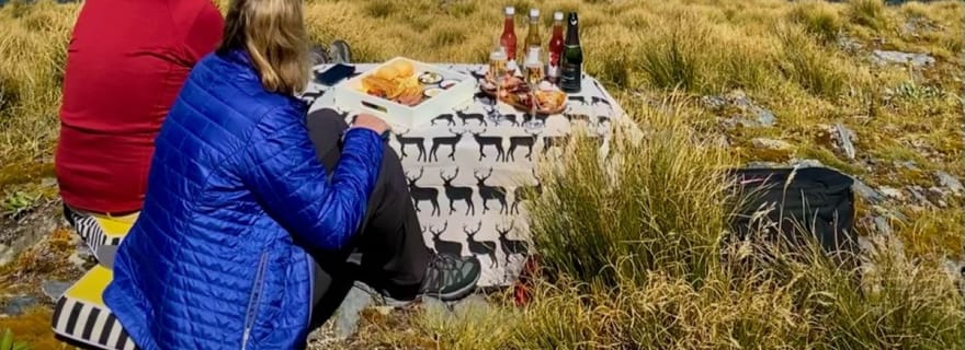 Te Anau : Milford, Dusky et Doubtful Vol en hélicoptère