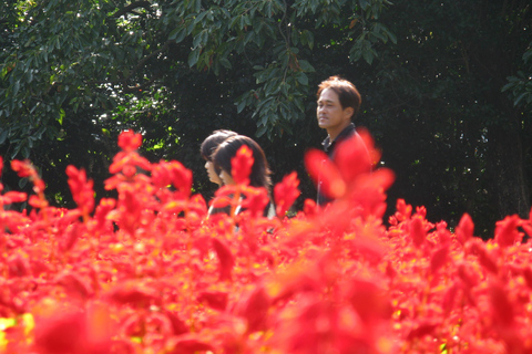 Colors of Japan Noko Island Park Garden e almoço com churrasco de Wagyu