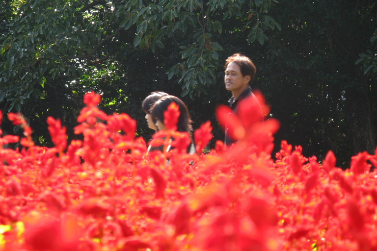 Colors of Japan Noko Island Park Garden e almoço com churrasco de Wagyu