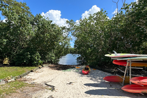 Key Largo: Mangrove Kayak Rental (Single or Double Kayaks)