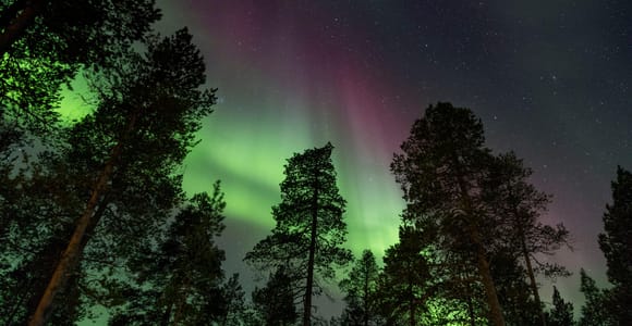 Saariselkä: Autumn Aurora Camp in Muotka