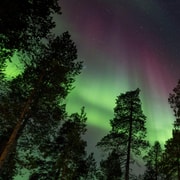 Saariselkä: Herbstliches Aurora-Camp in Muotka