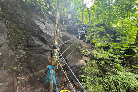 Bijagual Jungle Waterfall Hike & Herradura Beach Adventure