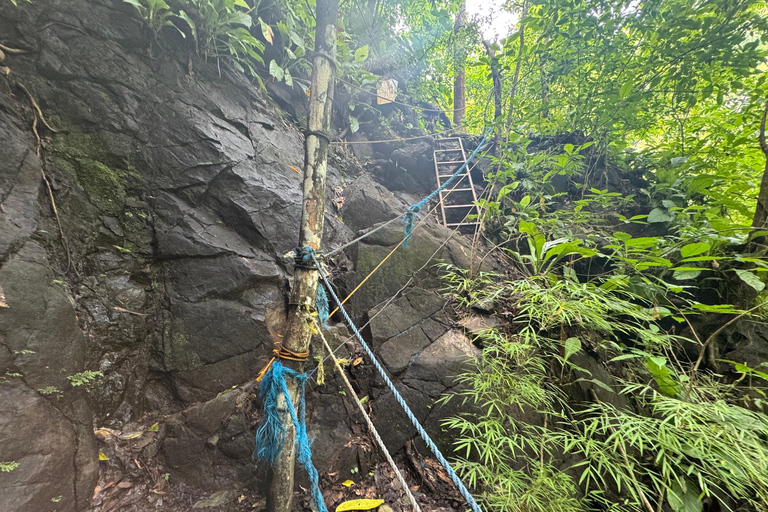 Bijagual Jungle Waterfall Hike & Herradura Beach Adventure
