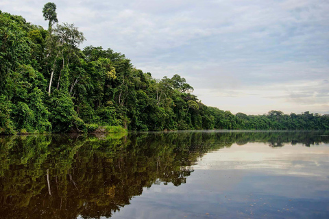 | From Madre de Dios | Night trekking in the Amazon jungle