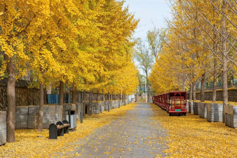 Beijing: Old Summer Palace Entry ticket (Optional Guide) Old Summer Palace Full Pass + 720 Space‑Voyager Full Pass