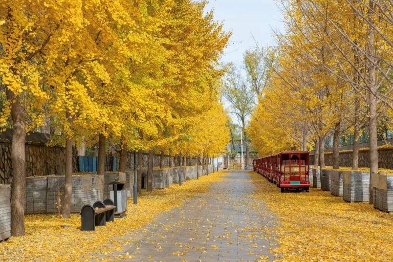 Beijing: Old Summer Palace Entry ticket (Optional Guide) Old Summer Palace Full Pass + 720 Space‑Voyager Full Pass