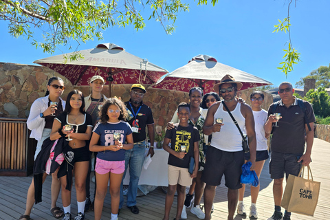 Cape Town: Cruise Passengers sunset Safari & Wine Tour