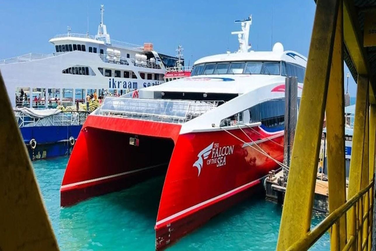 Dar es Salaam: traghetto per Zanzibar e trasferimento in hotel