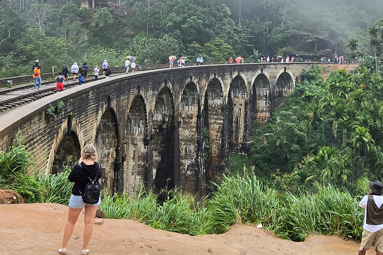 Ella: NineArches Bridge,Mini adam's peak and Waterfalls Tour