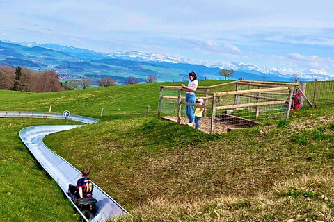 GurtenPark–Bern: 360° Viewpoint, Toboggan Run, and Cheese Picnic Gurten Park – Bern: Small Group Tour
