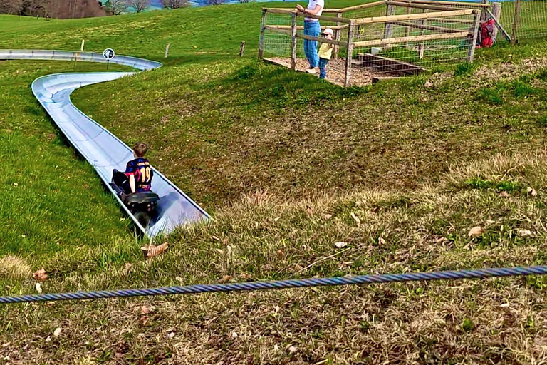 GurtenPark–Bern: 360° Viewpoint, Toboggan Run, and Cheese Picnic Gurten Park – Bern: Small Group Tour