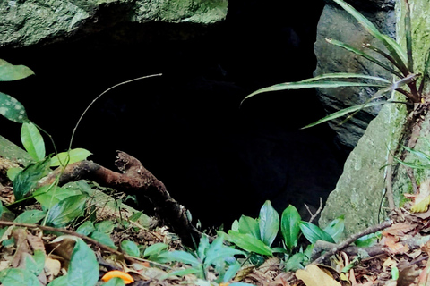 Rio de Janeiro: Tijuca Caves Guided Hike with Park Entry