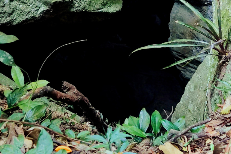 Rio de Janeiro: Tijuca Caves Guided Hike with Park Entry