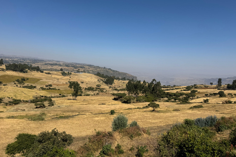 From Addis: Blue Nile Gorge, Baboons & Waterfalls