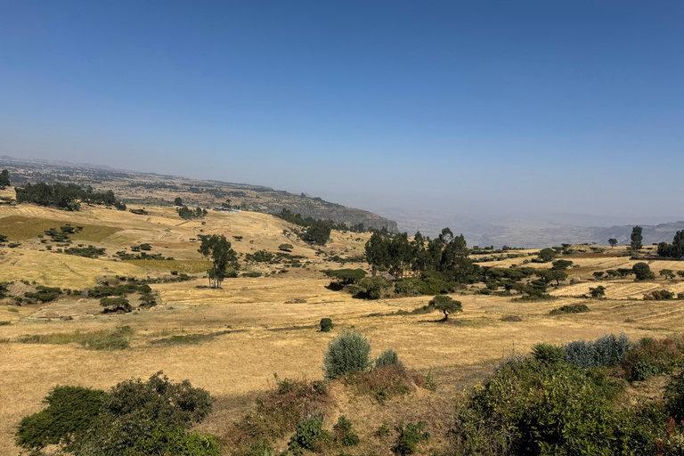From Addis: Blue Nile Gorge, Baboons & Waterfalls