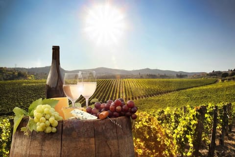 Wine & Wonder: Cape Winelands Experience in Cape Town