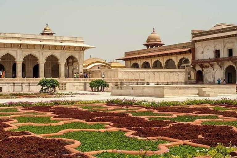 Tour privato del triangolo d&#039;oro di 5 giorni Delhi-Agra-Jaipur