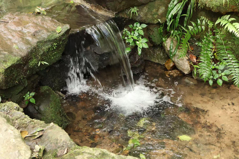Hangzhou Hupao Park & Mountain Coffee Experience