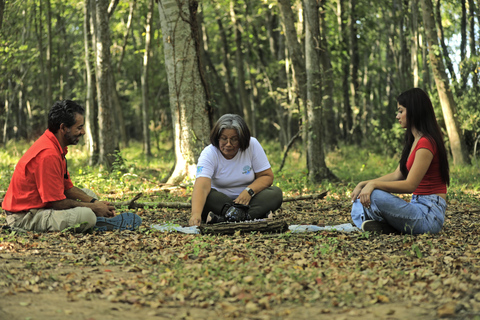 Healing with the forest