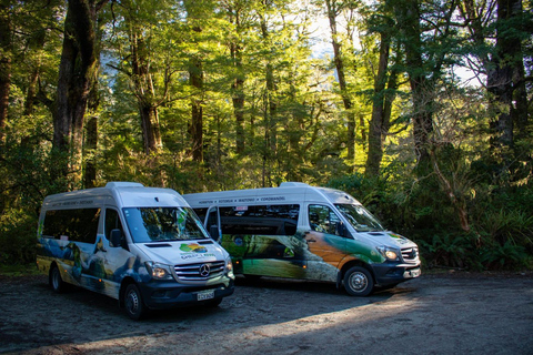 Te Anau do Queenstown wraz z wycieczką do Milford Sound, rejsem i lunchemWycieczka z Te Anau do Queenstown, w tym Milford Sound, rejs i lunch