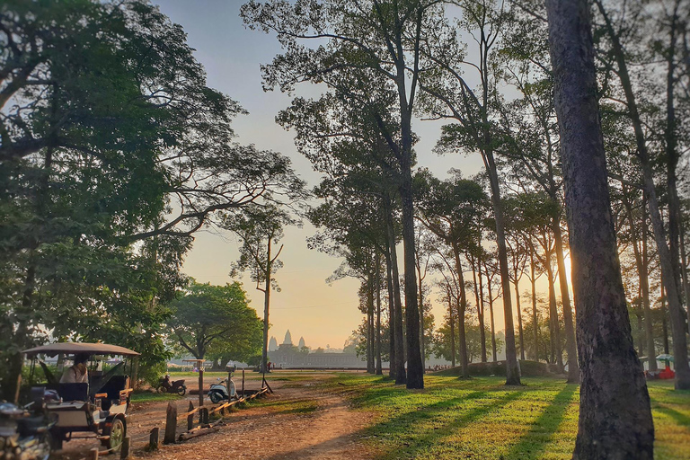 Privat Angkor Park guidad tur (måste-besöka tempel)