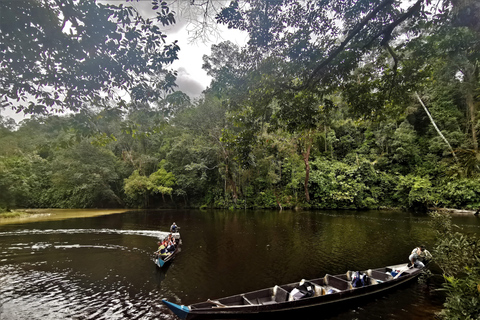 Kuala Lumpur: Taman Negara Tour w/Lata Berkoh Falls & Lunch Pickup Within KL City Centre Area Only