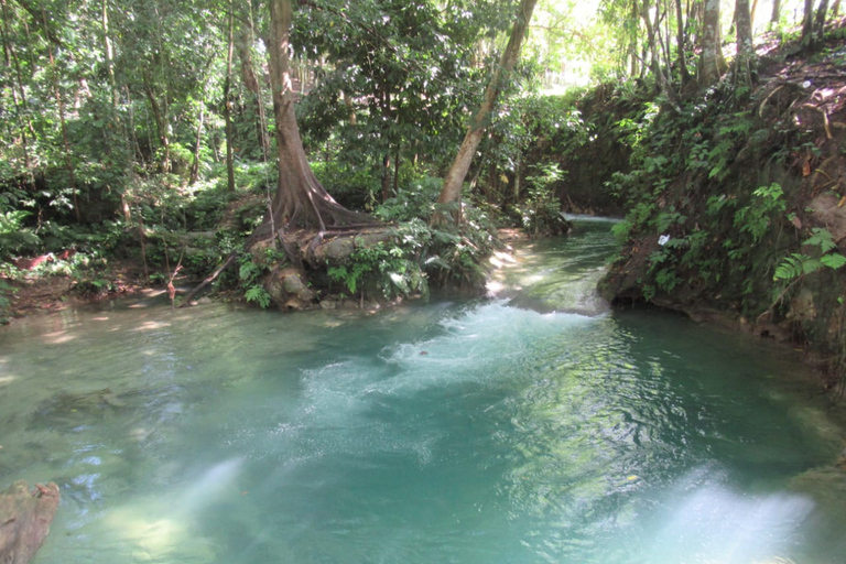 Benta River and Falls with Rick's Cafe Private Tour From Falmouth/ Trelawny