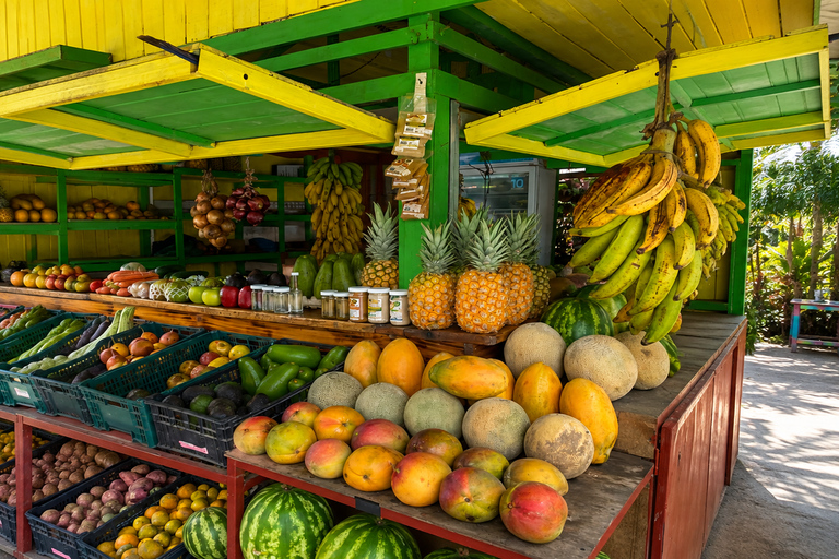 Negril, Lucea & Green Island: Mayfield Falls & Local Jamaica Grand Palladium – Mayfield Falls Adventure