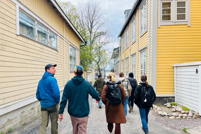Da Helsinki: Rovine del castello di Raasepori e centro storico di Ekenäs
