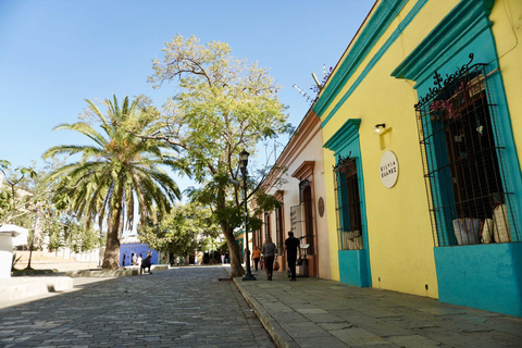 Private Oaxaca Historic Tour - Best Rated