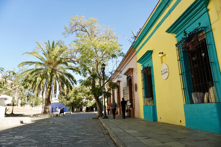 Private Oaxaca Historic Tour - Best Rated