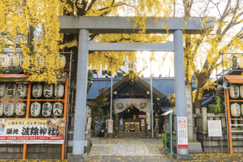 Toyosu Fish Auction and Tsukiji Market with Sushi Tasting