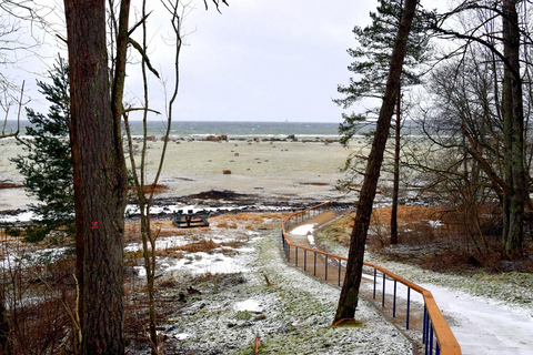 Descubre Estonia-viaje en coche de Tallin a Keila-Joa Waterfal