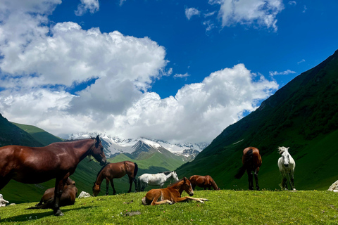 From Kutaisi: Svaneti, Mestia & Ushguli with Scenic Hikes Svaneti 4x4 Private 3-day tour