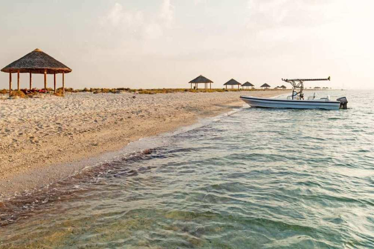 Doha: Al Safliya Cruise & Beachside Lunch Experience